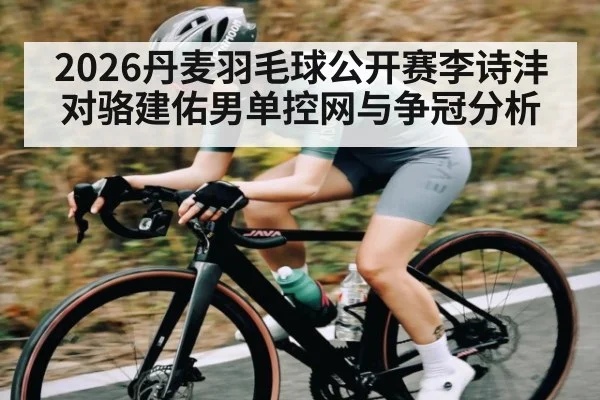2026丹麦羽毛球公开赛李诗沣对骆建佑男单控网与争冠分析